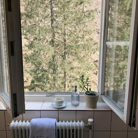 Echo
